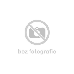 Bc. Barbora Brůhová, Dis